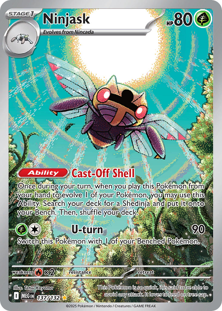 137 Ninjask