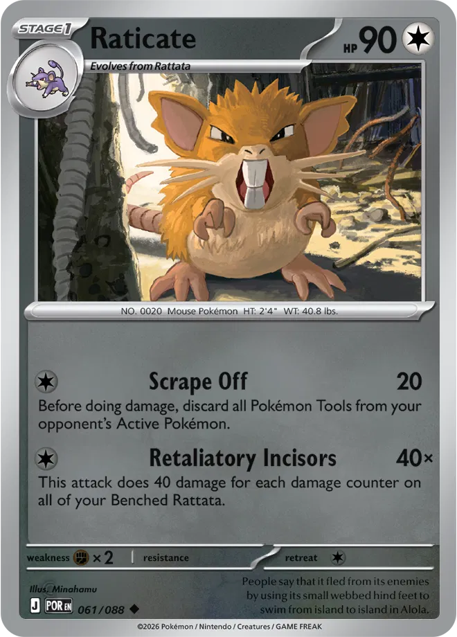 061 Raticate (POR)