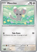 072 Minccino (CRI)