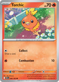 040  Torchic (DRI)