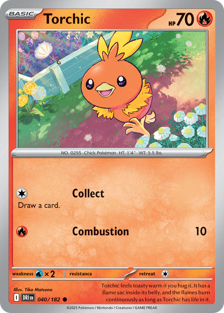 040  Torchic (DRI)