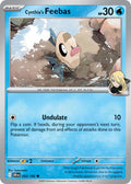 052  Cynthia’s Feebas (DRI)