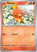 022 Torchic (JTG)